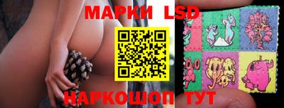 стафф Краснознаменск