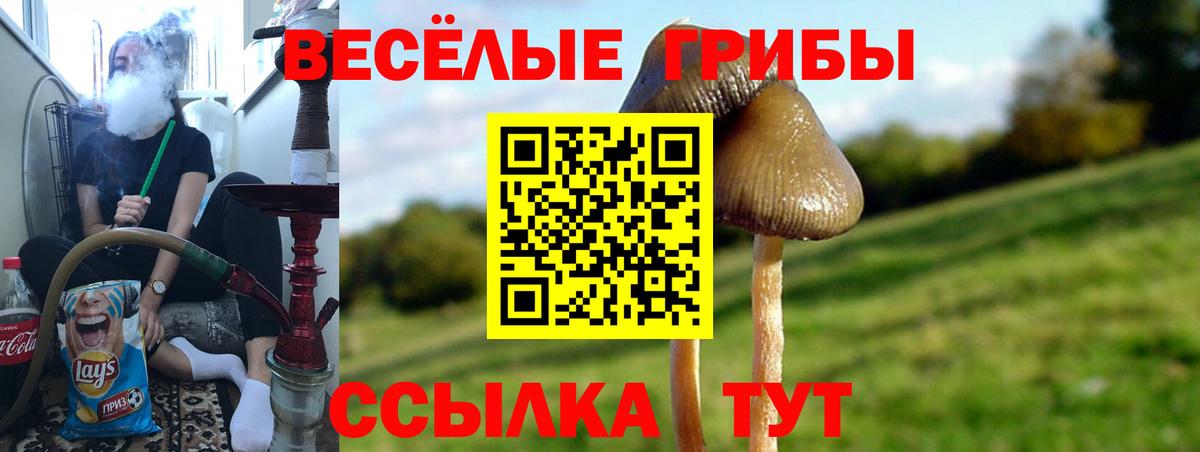 Галлюциногенные грибы прущие грибы  Галлюциногенные грибы мицелий  Кимры  Вход с VPN 