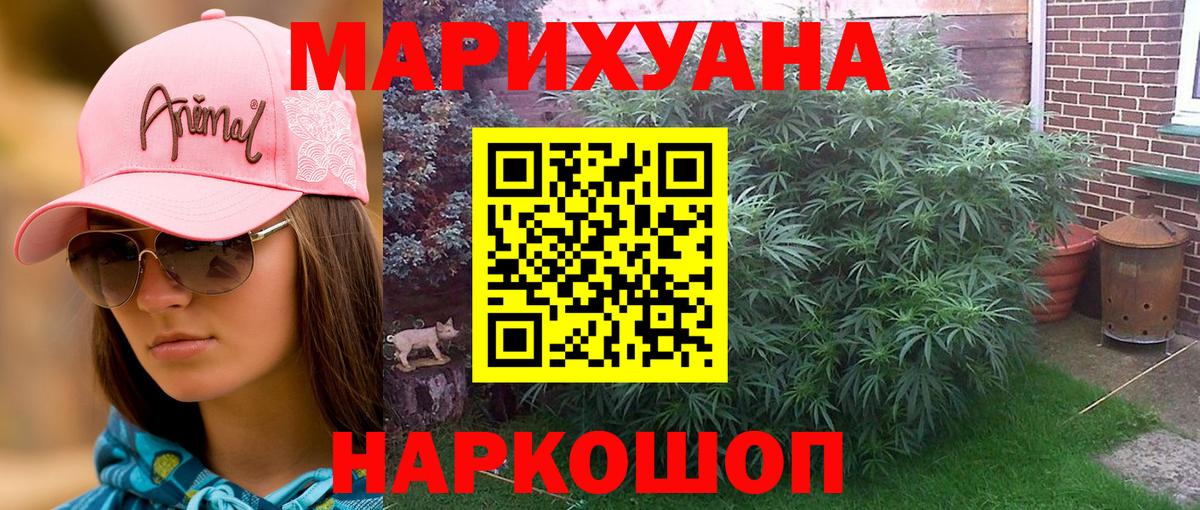 Бошки Шишки марихуана  Бошки Шишки OG Kush  Вход с VPN  Кимры  Каннабис VHQ 
